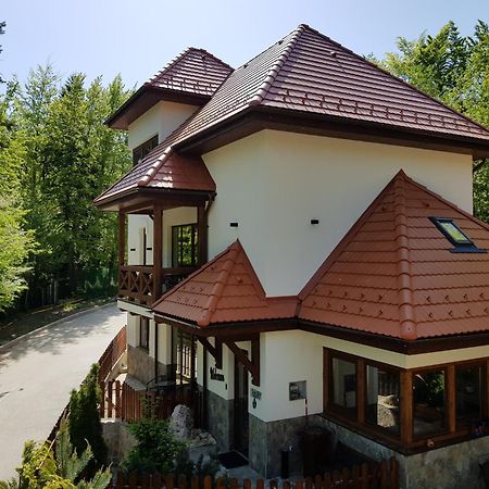 Alfinio Villa Sinaia Exterior foto