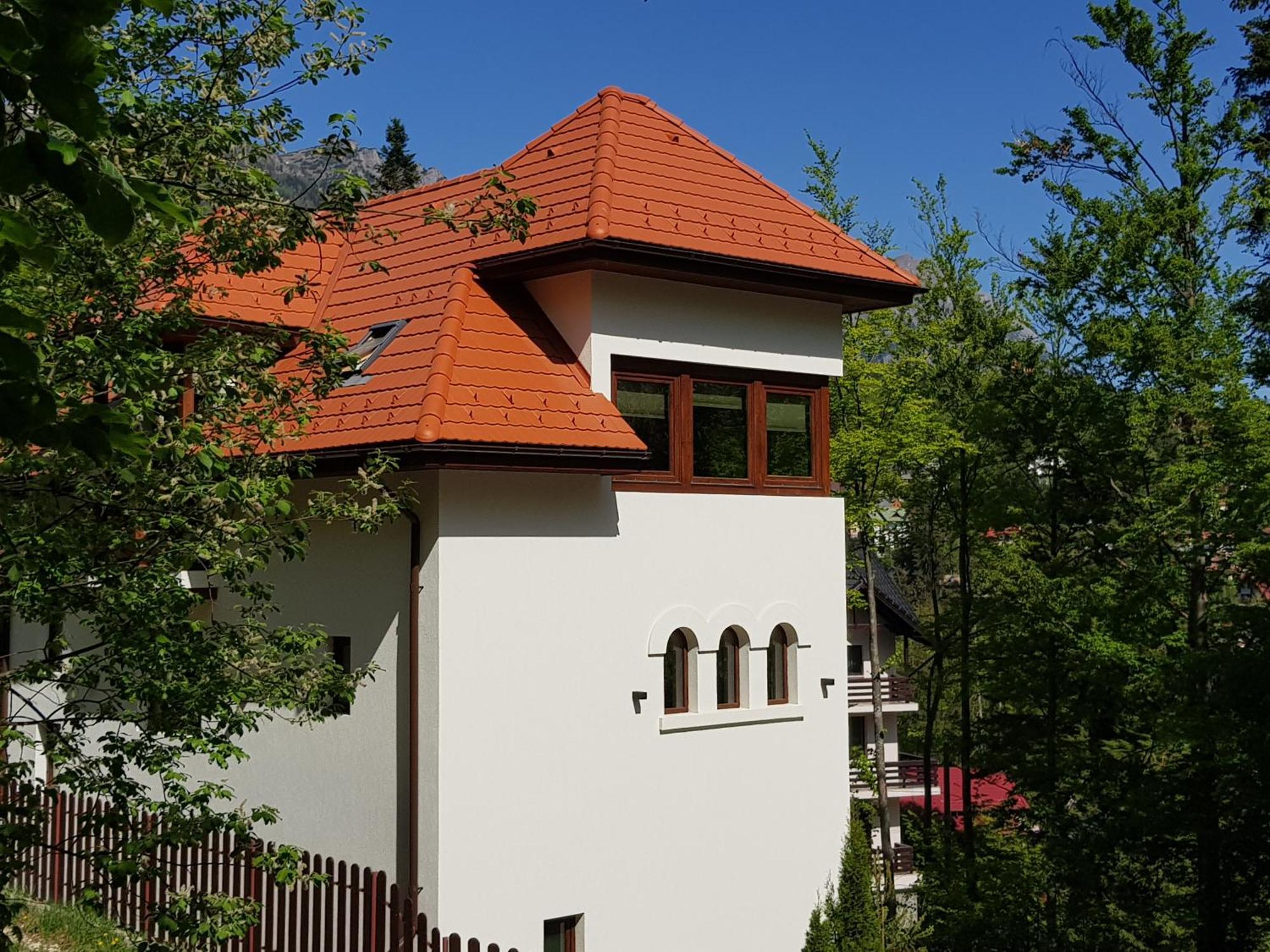 Alfinio Villa Sinaia Exterior foto